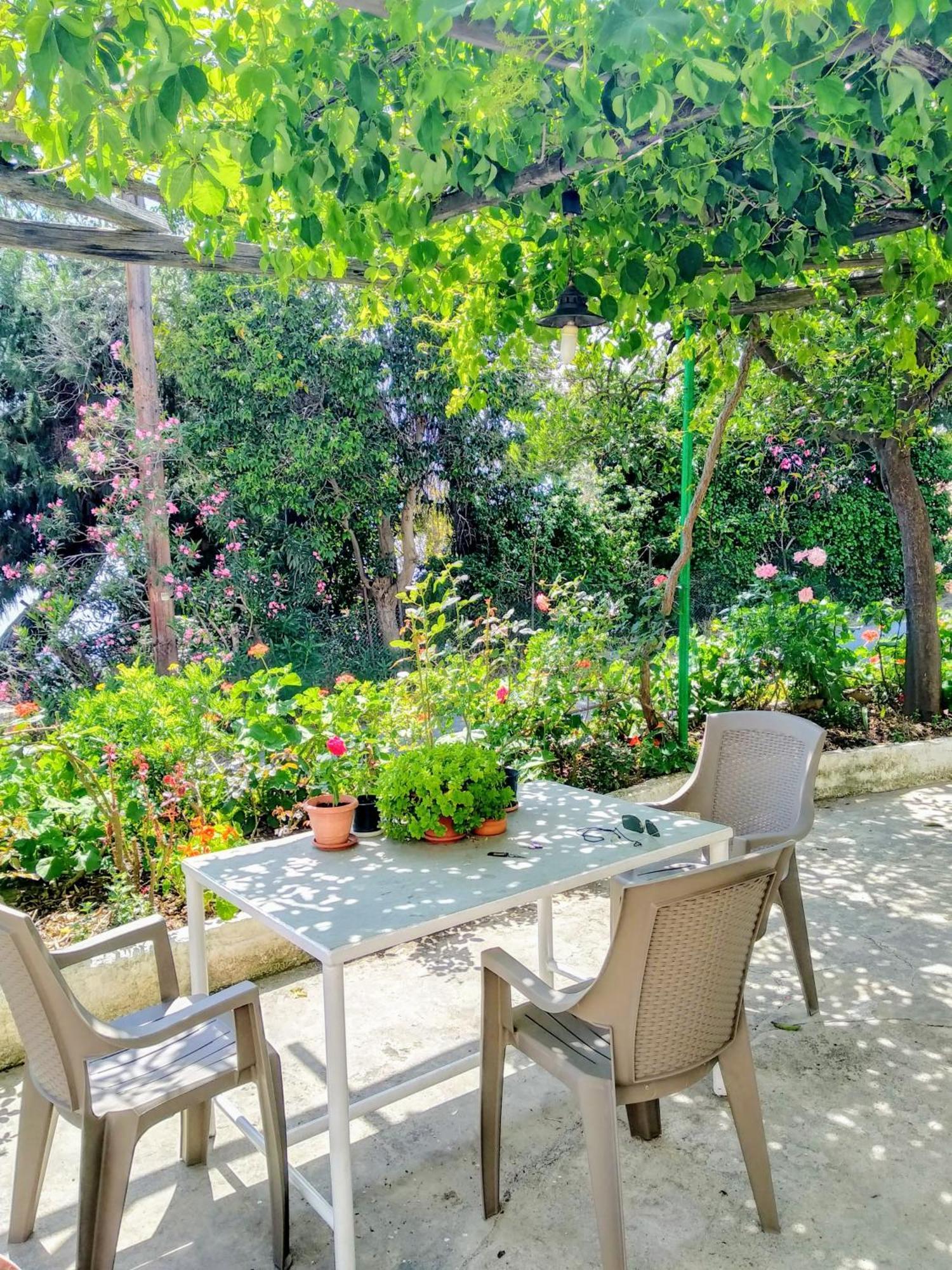 Pelion Seaside Luxury House Leilighet Áfissos Eksteriør bilde